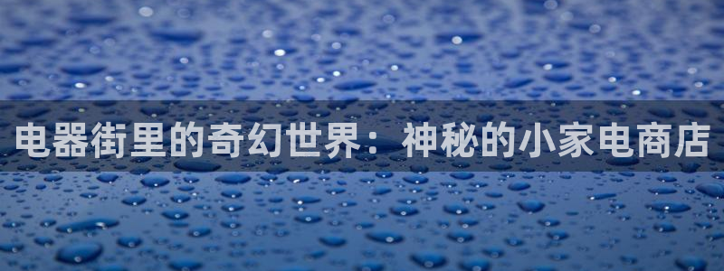 小蘑菇的漫画(包子漫画)：电器街里的奇幻世界：神秘的小家电商店