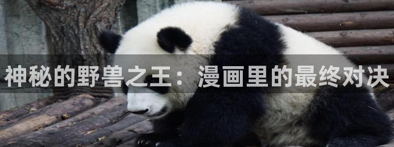 镇魂街包子漫画：神秘的野兽之王：漫画里的最终对决